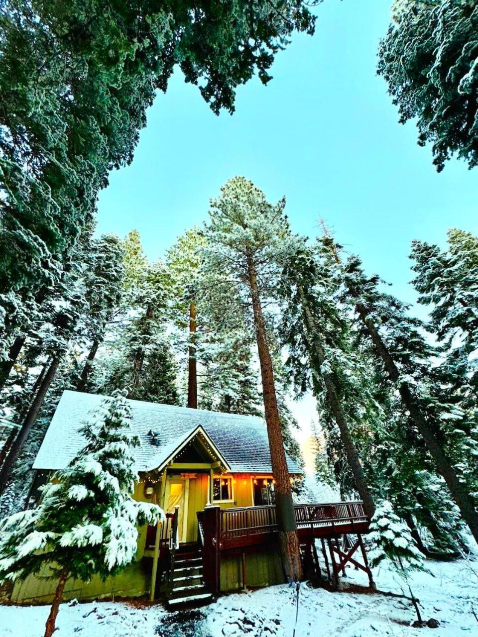 The Honey Bear Cabin Carnelian Bay Buitenkant foto