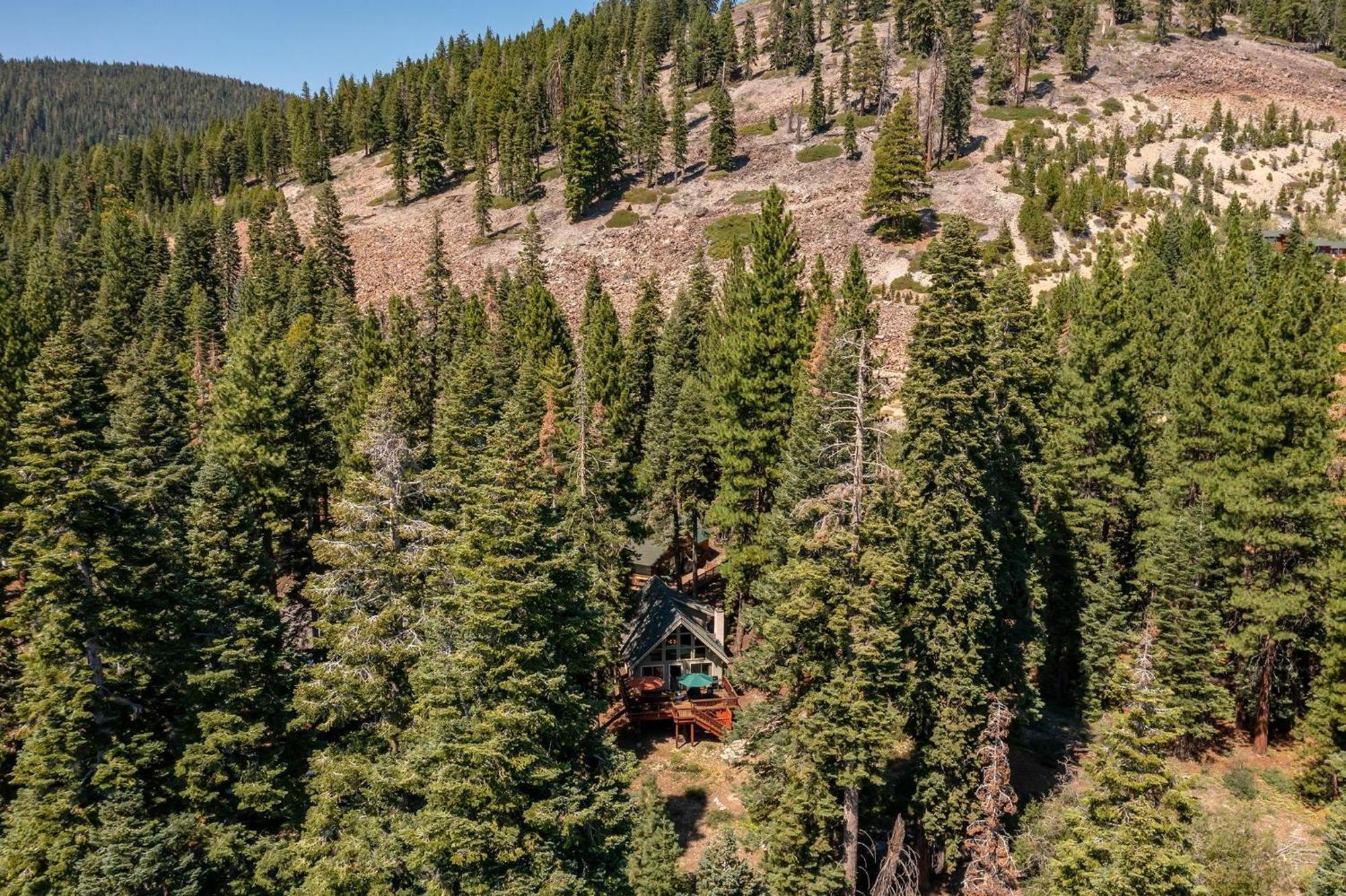 The Honey Bear Cabin Carnelian Bay Buitenkant foto